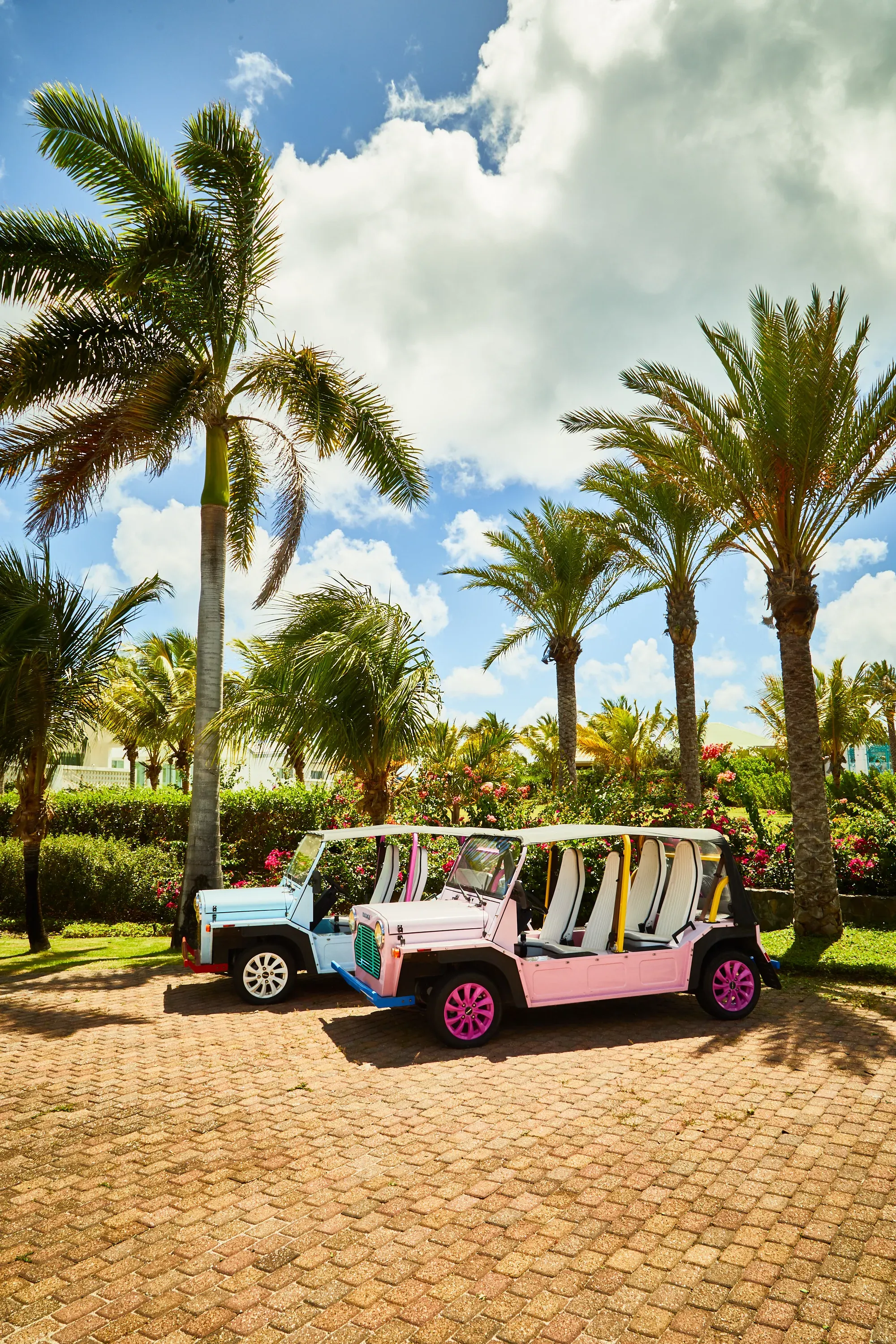 Electric Mini Mokes under the palms