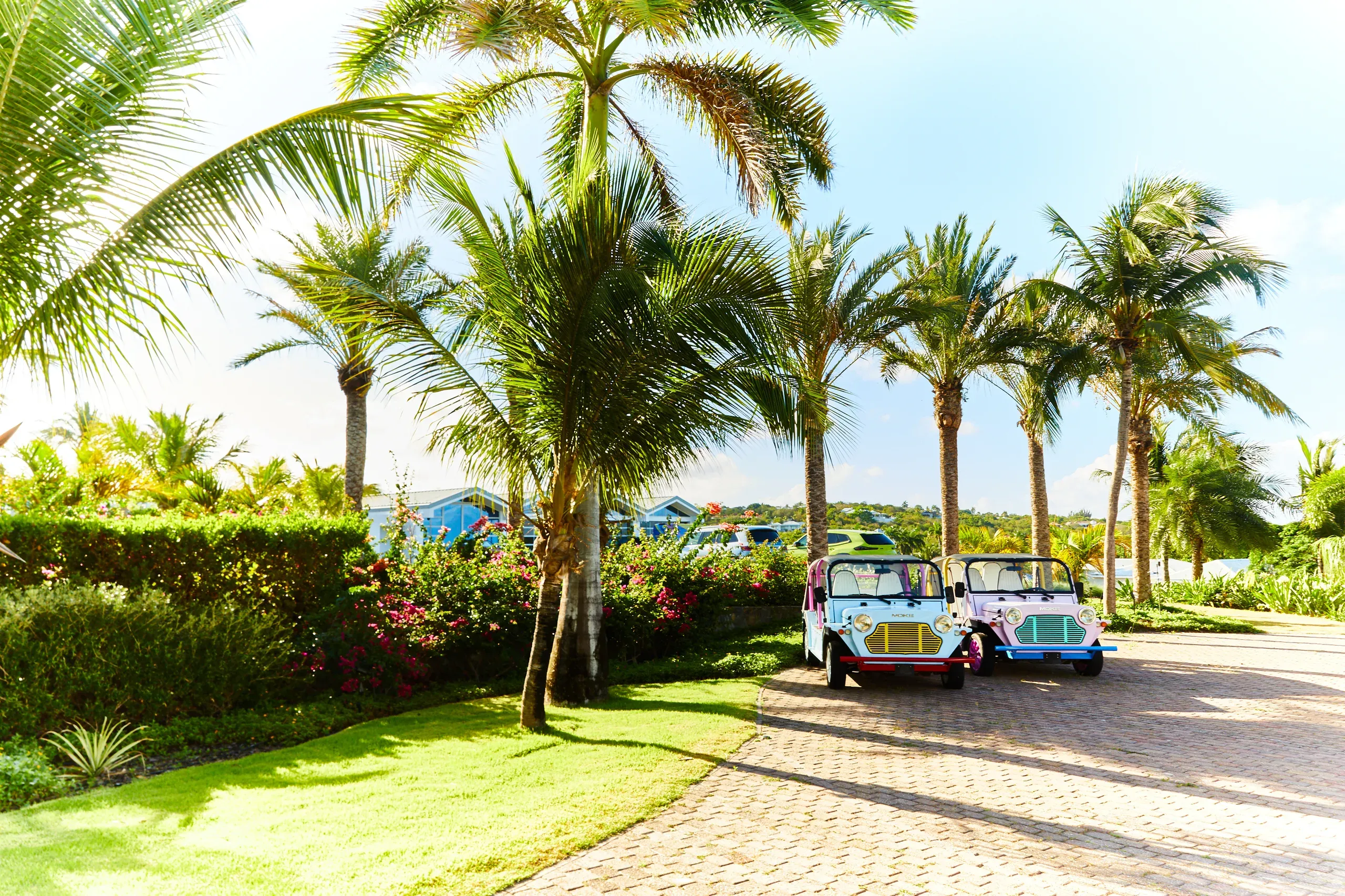 The electric Mini Mokes lined up on the estate