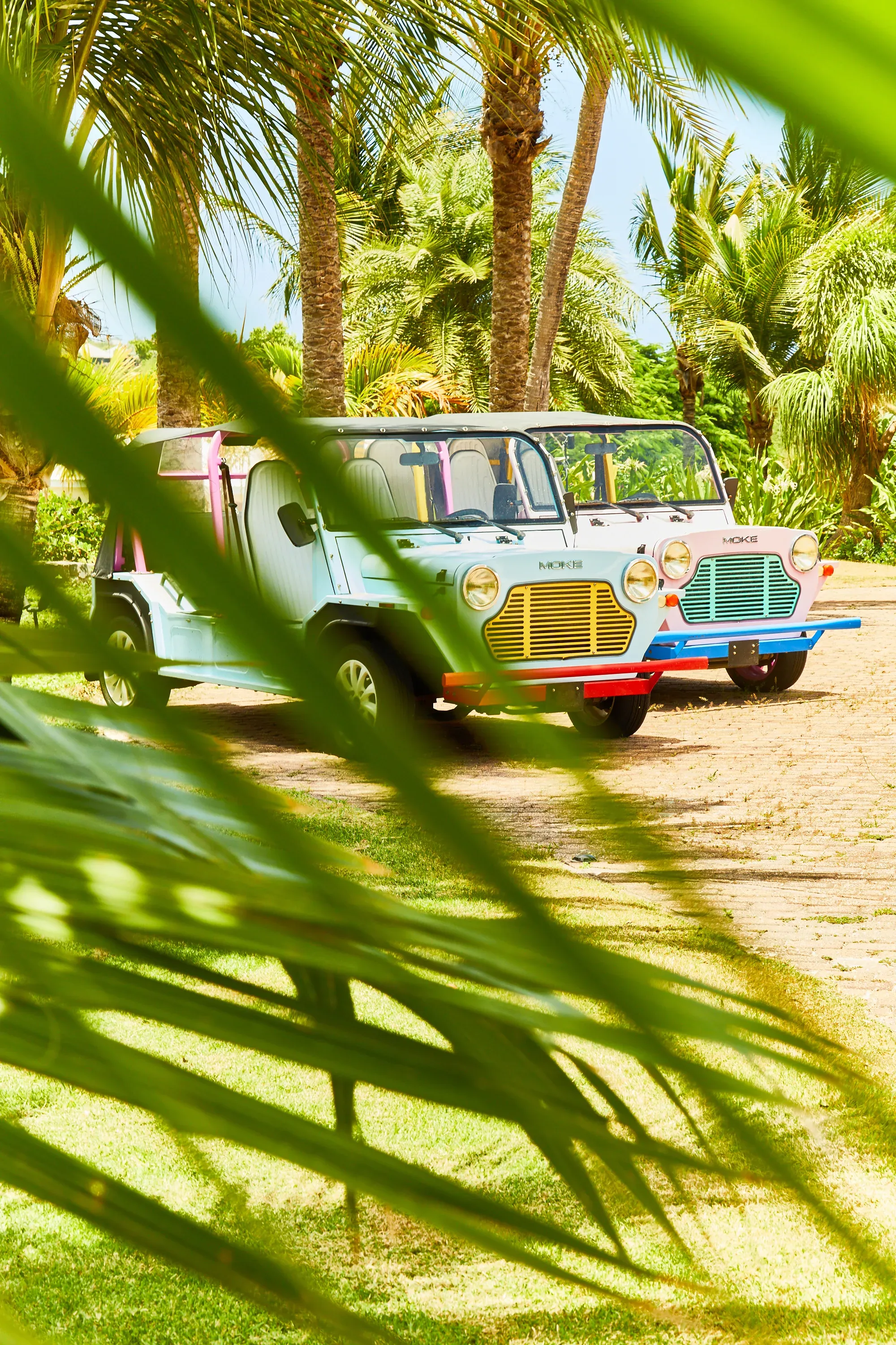 Moke parked under the palms